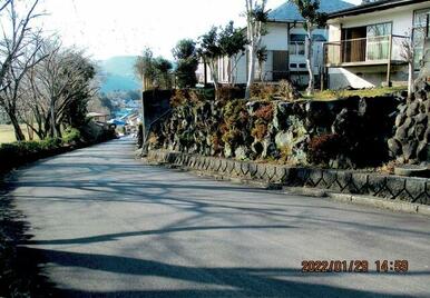 南の庭は道路より高台です。