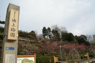 池上梅園