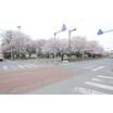 公園