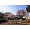 小学校