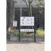 公園