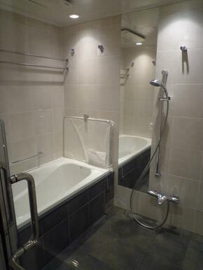 G2・W3タイプ2009年8月撮影