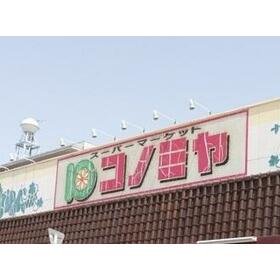 周辺環境