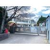 幼稚園、保育園