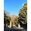 大学