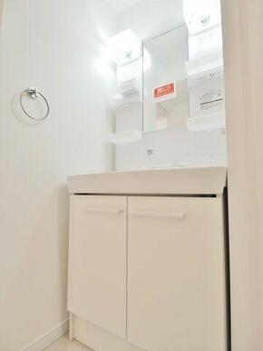 シャワー水栓付きの洗面化粧台、収納は容量の大きい戸棚タイプ。