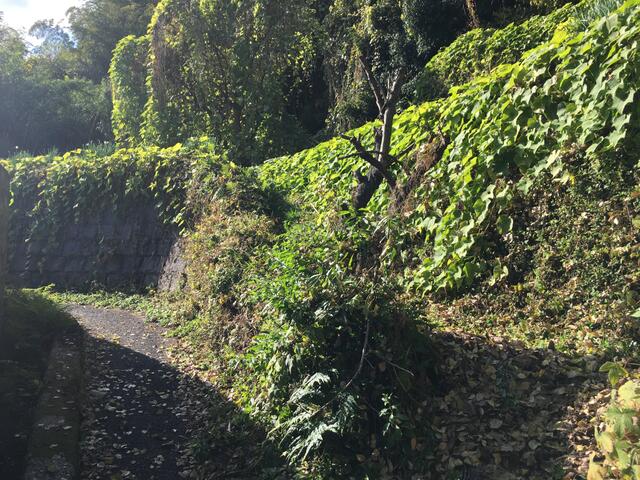 物件画像 北九州市若松区 山手町 (若松駅) その他用地