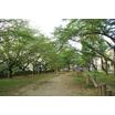 公園