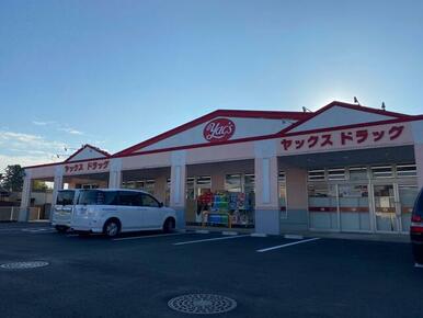 ヤックスドラッグつくば高見原店