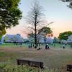 公園