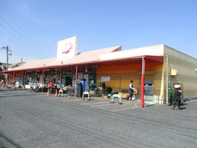 旬鮮食品館カズン草加店