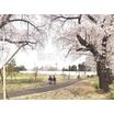 公園