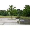 公園
