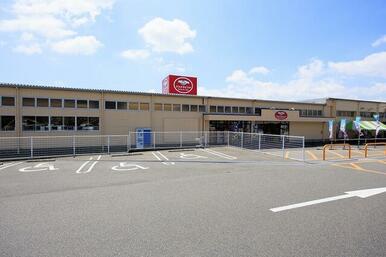 アスタラビスタ 鳥栖店