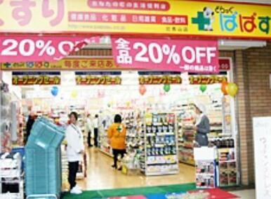 どらっぐぱぱす両国店