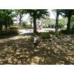 公園