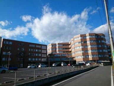 サンピエール病院