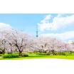 公園