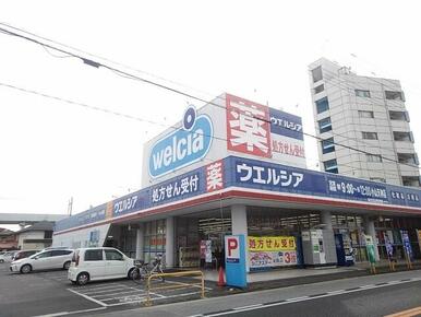 ウエルシア小山天神店