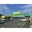 販売店