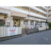 幼稚園、保育園