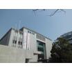 大学