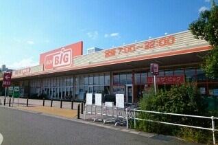 ザ・ビッグイオンタウン店