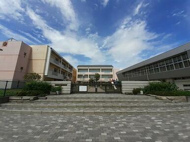 田井小学校