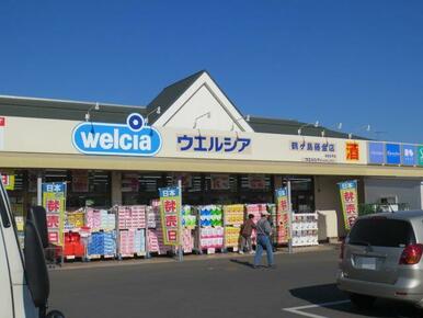 ウエルシア鶴ヶ島藤金店