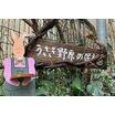 幼稚園、保育園