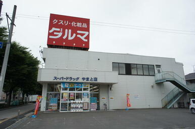 ダルマやまと店