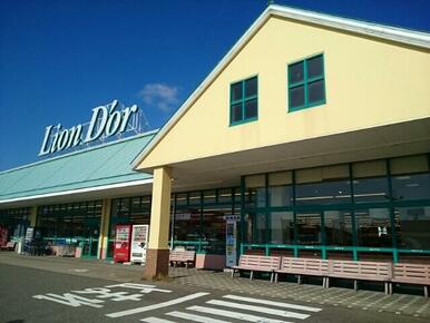 リオンドール西川店