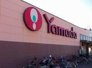 ヤマダストア