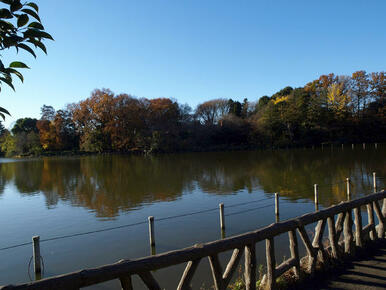 善福寺公園