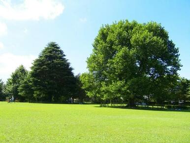 青葉の森公園