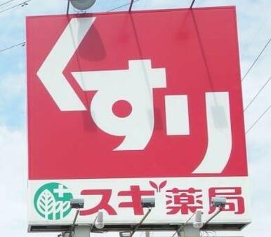 スギ薬局　岡崎上里店