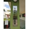 幼稚園、保育園