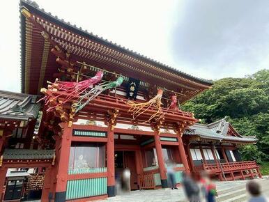 観光地の鶴岡八幡宮がございます。