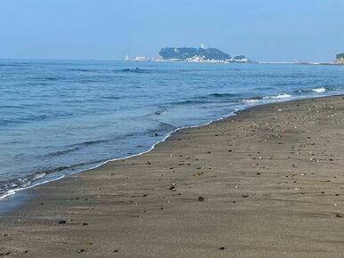 お散歩でちょっと海まで！