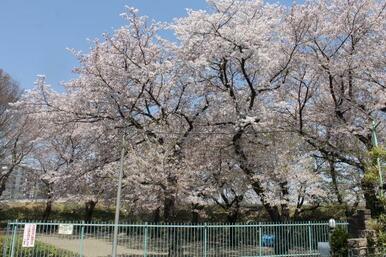 近くに公園もあります