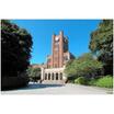 大学
