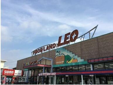 フードランドレオ誉田店