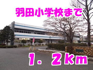 羽田小学校
