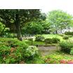 公園