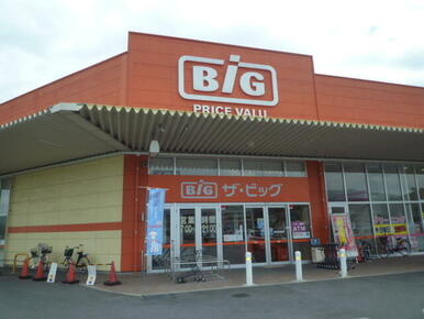 ザ・ビッグ周東店