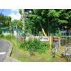 幼稚園、保育園