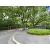 大学