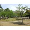公園