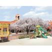 幼稚園、保育園