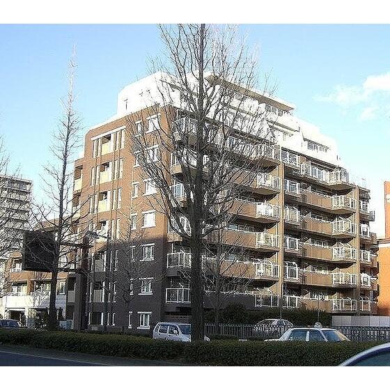 シティハウス上杉山通　５０４ ５０４ 3LDK